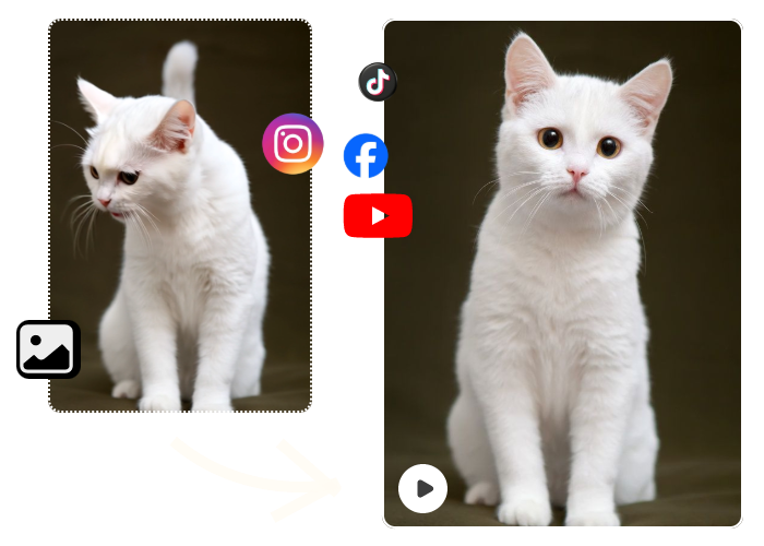 Flat photos can’t flirt , but animated ones can. Flat photos can’t flirt , but animated ones can.