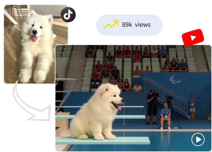 From Still to Splash: Magic in a Click