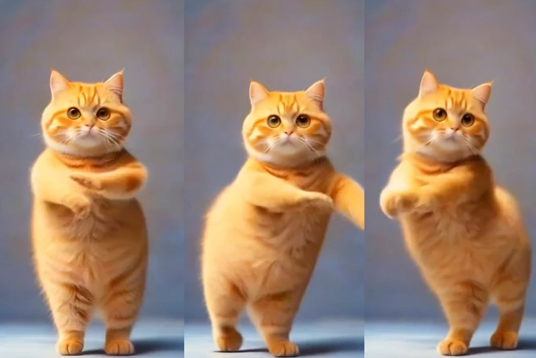 AI Cat Dance
