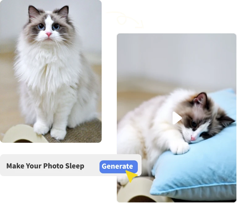 Where to Use AI Animal Olympics