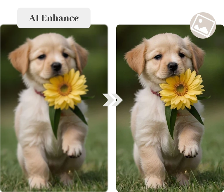ai unblur image7@1x Everyday Moments Made Sharper with AI