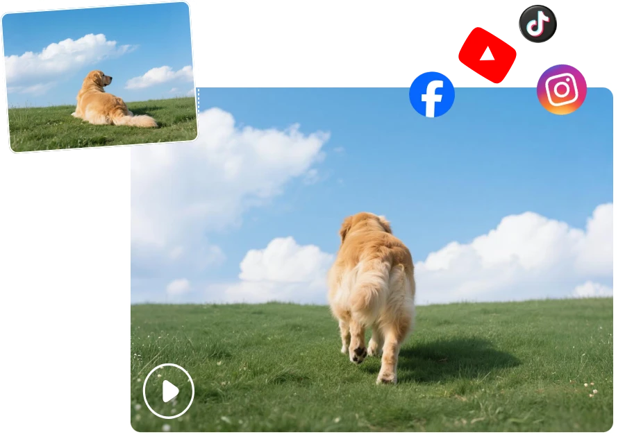 Wiggle That Tail! AI Twerk Magic for Your Pup